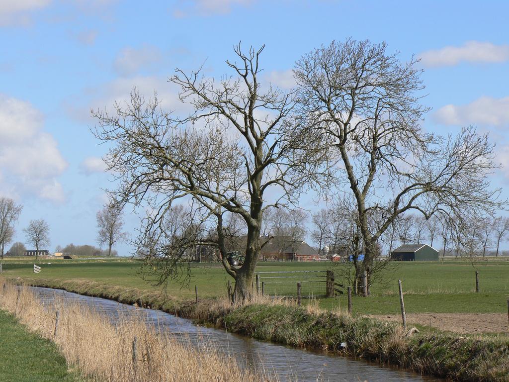 Groningen Buiten B&B Zuidhorn Экстерьер фото
