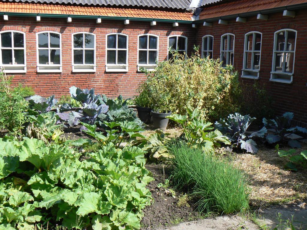 Groningen Buiten B&B Zuidhorn Экстерьер фото