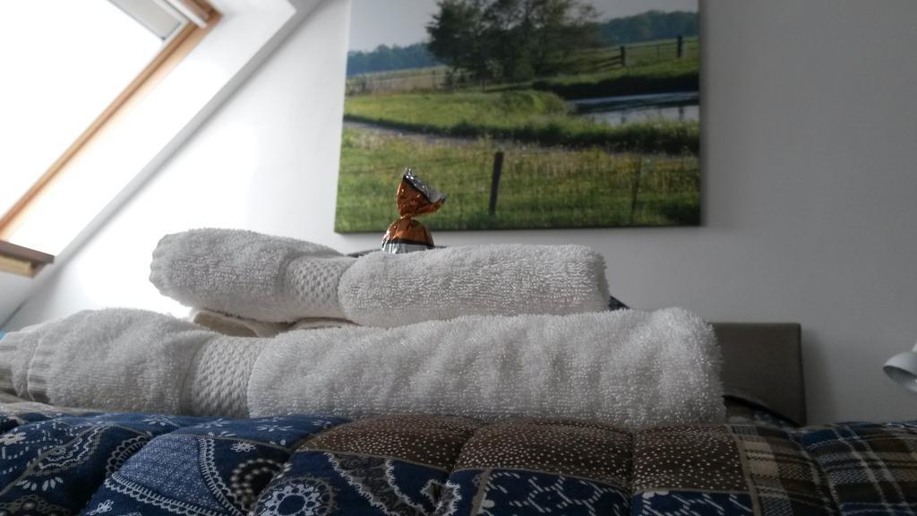 Groningen Buiten B&B Zuidhorn Экстерьер фото